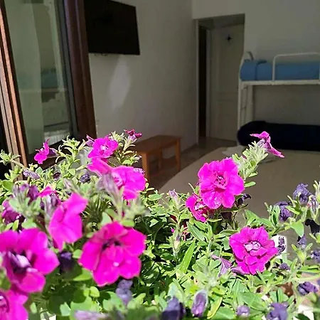 La Stella Dei Venti Bed and breakfast 3*